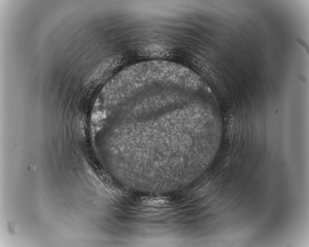 X0000102390643200808291424