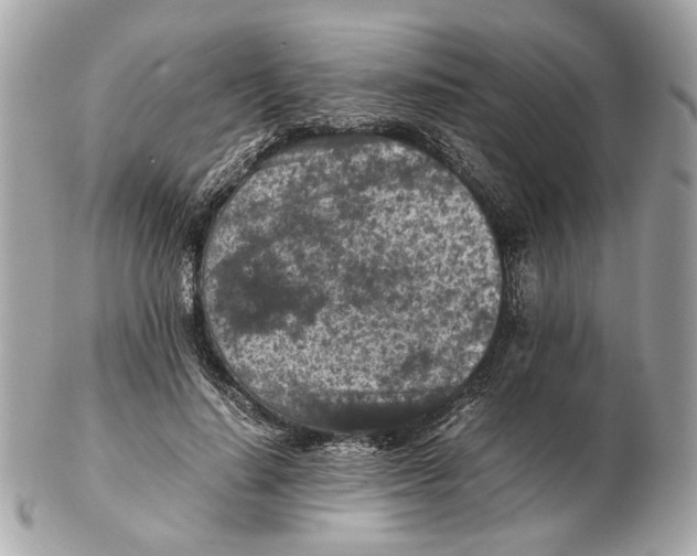 X0000102390644200808291424