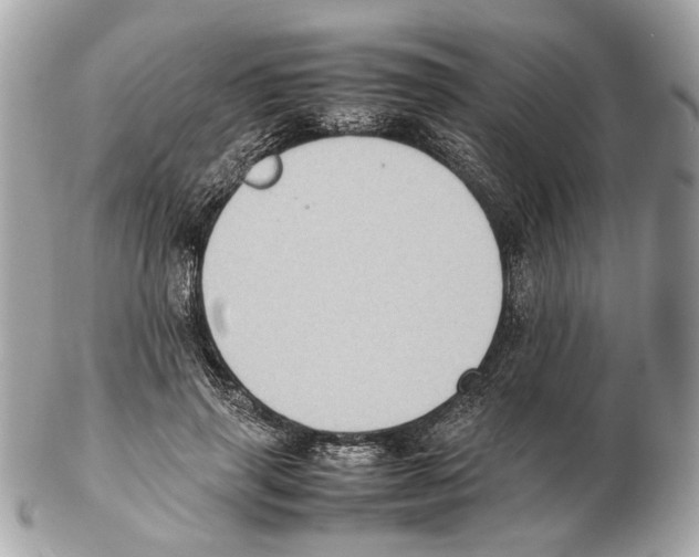 X0000102390645200808291424
