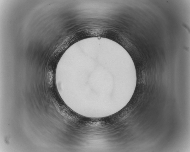 X0000102390646200808291424