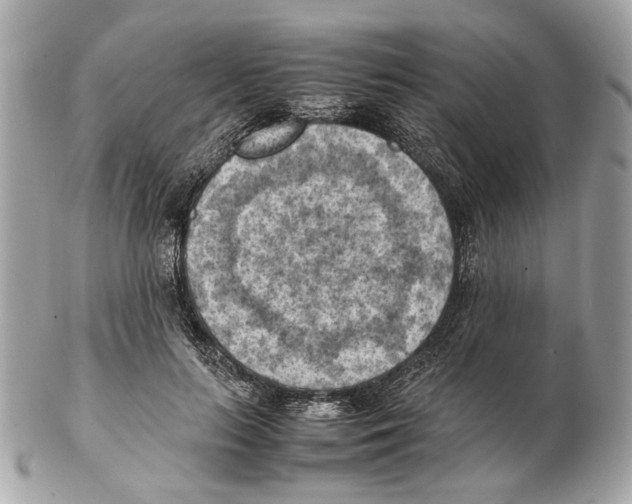 X0000102390647200808291424