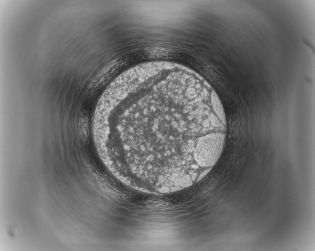 X0000102390648200808291424
