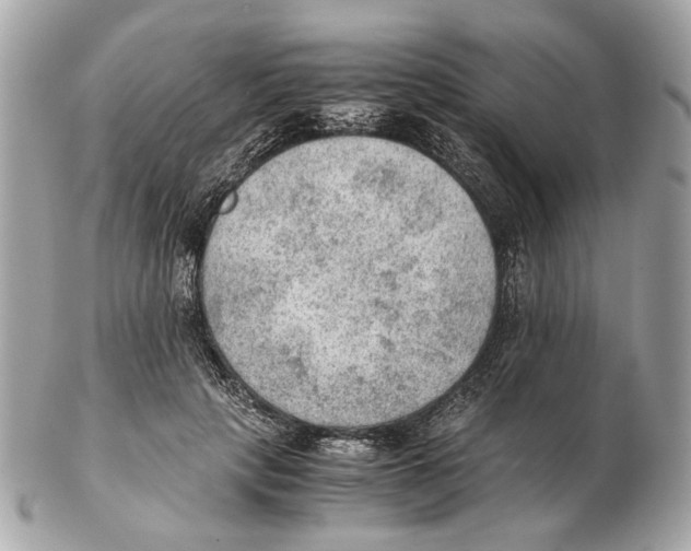 X0000102390649200808291424