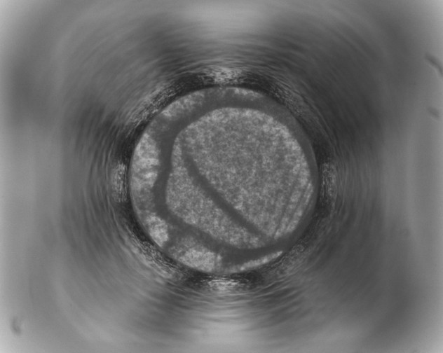 X0000102390650200808291424
