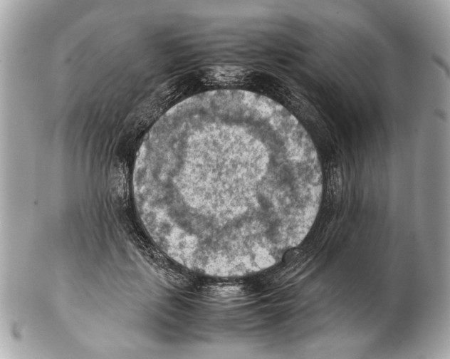 X0000102390651200808291424