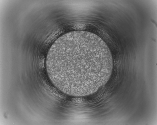 X0000102390652200808291424
