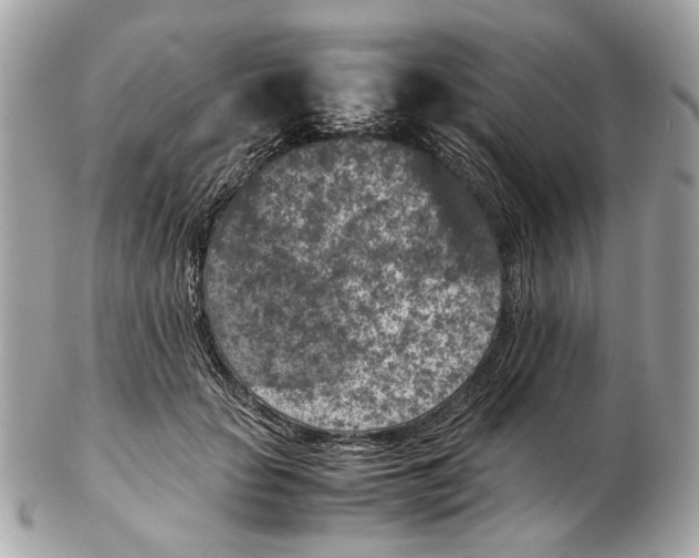 X0000102390653200808291424