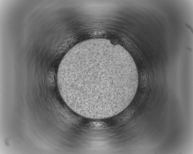 X0000102390654200808291424