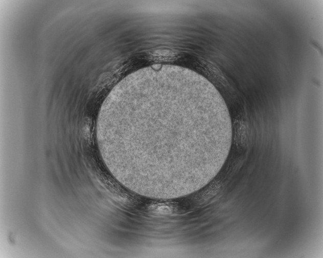 X0000102390655200808291424