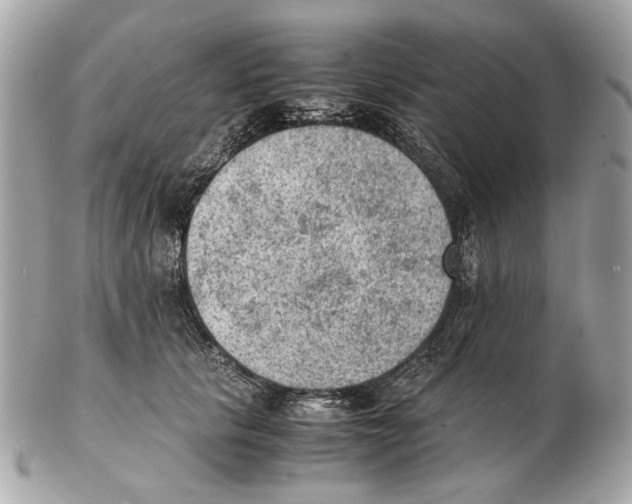 X0000102390657200808291424