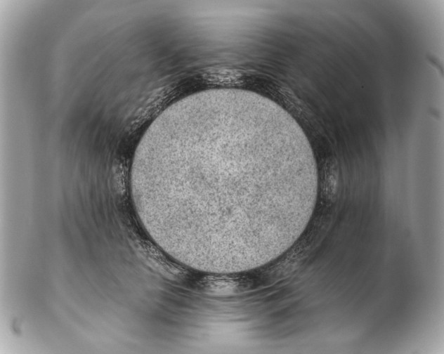 X0000102390658200808291424