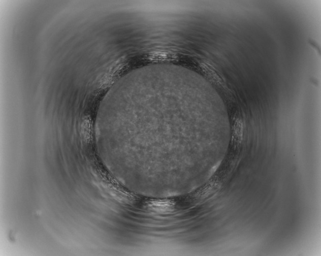 X0000102390659200808291424