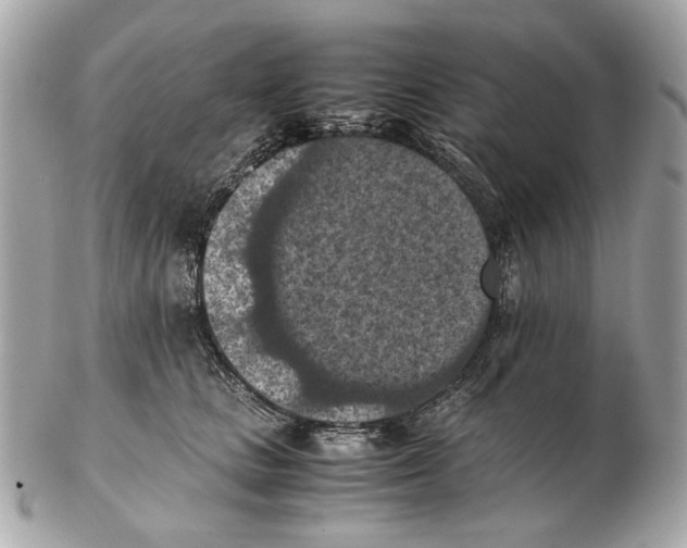 X0000102390661200808291424
