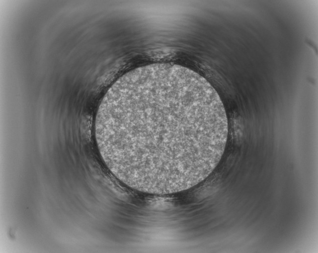 X0000102390664200808291425