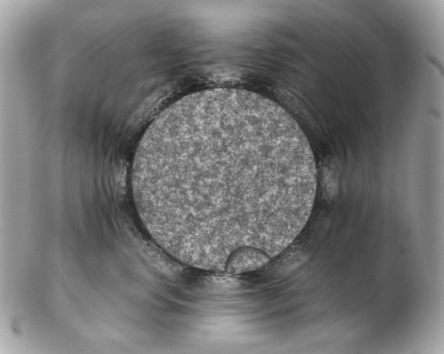 X0000102390668200808291425