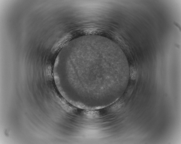 X0000102390670200808291425