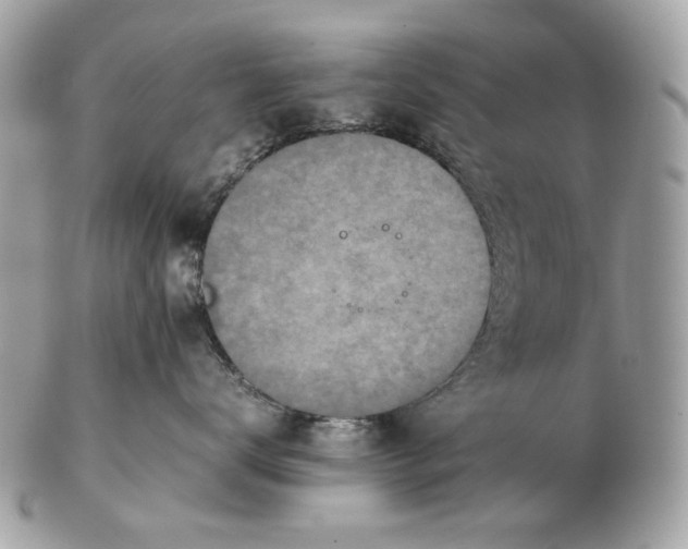 X0000102390672200808291425