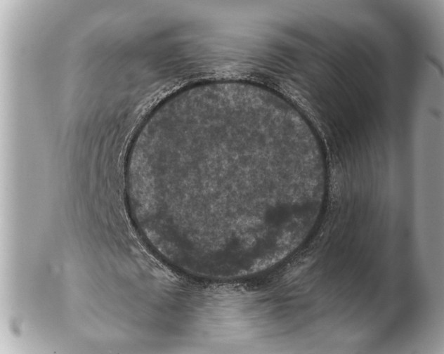 X0000102390673200808291424