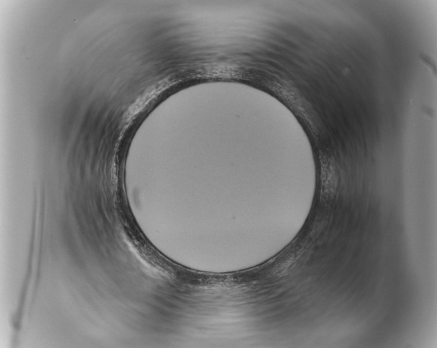 X0000102390674200808291424