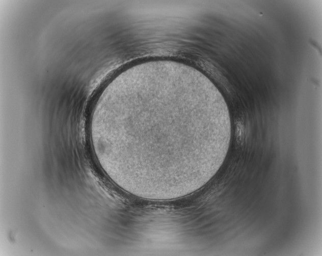X0000102390676200808291424