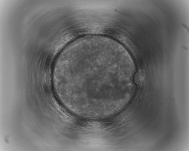 X0000102390677200808291424