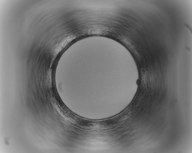 X0000102390678200808291424