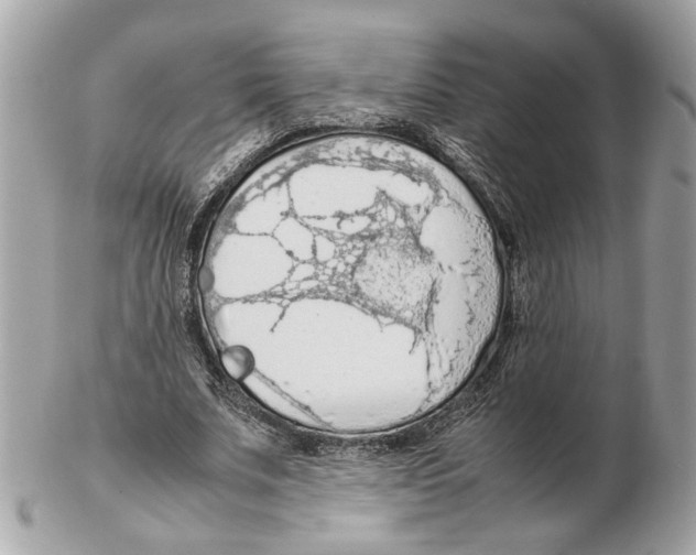 X0000102390679200808291424