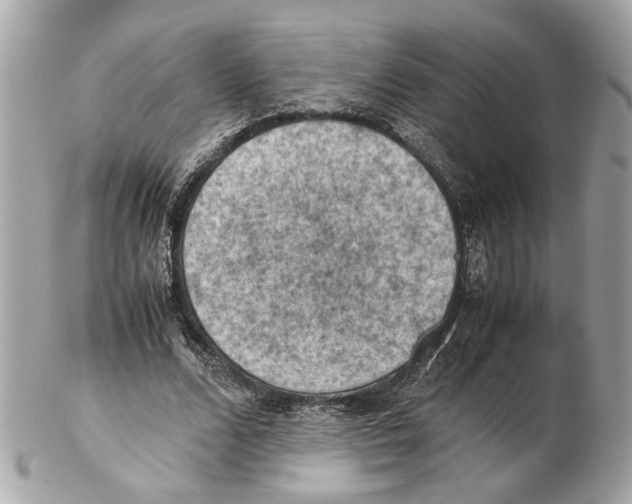 X0000102390680200808291424