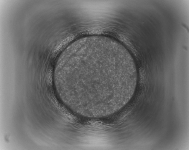 X0000102390681200808291424