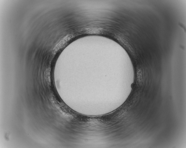 X0000102390682200808291424