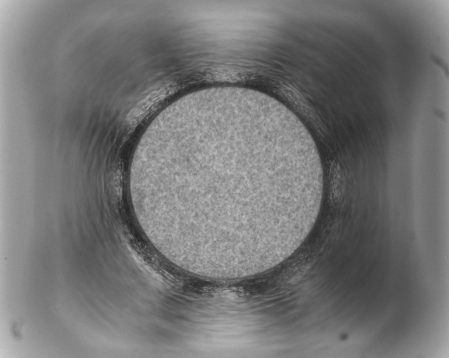 X0000102390683200808291424