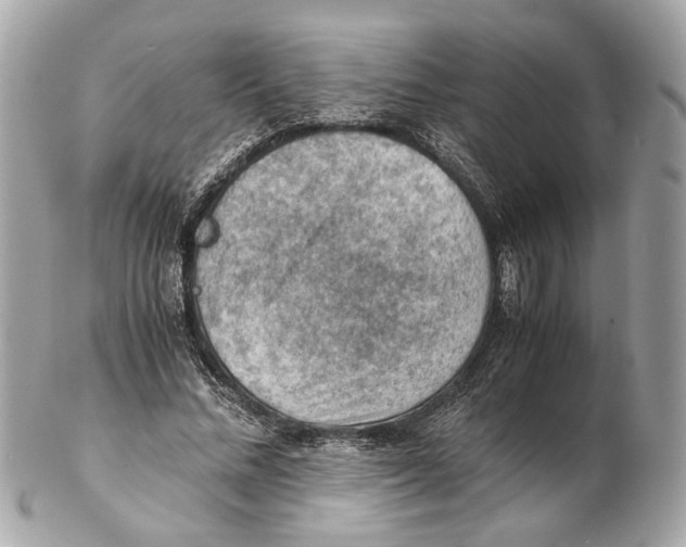 X0000102390684200808291424