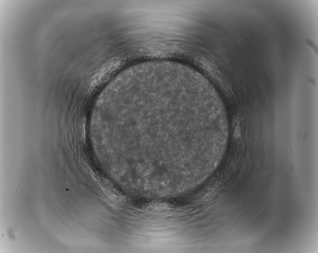 X0000102390685200808291424