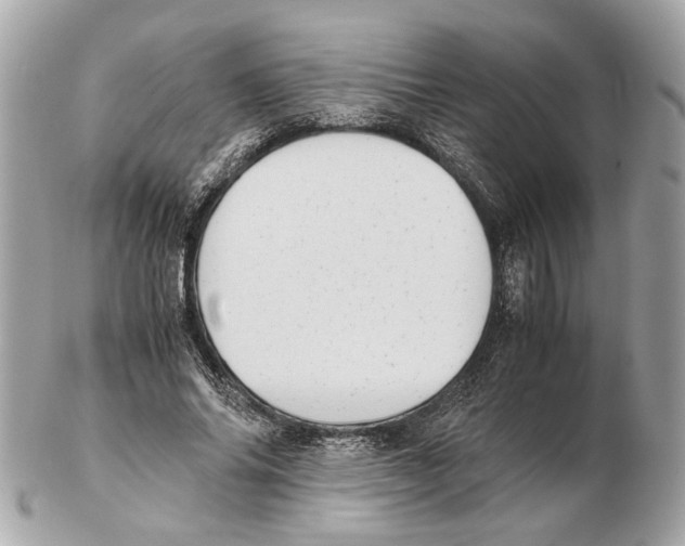 X0000102390686200808291424