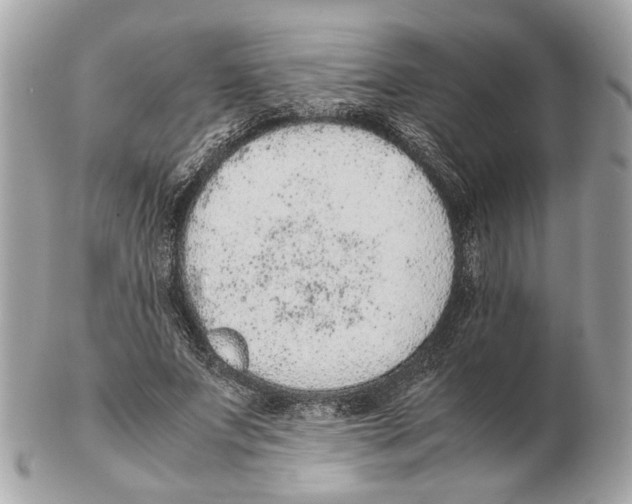 X0000102390687200808291424