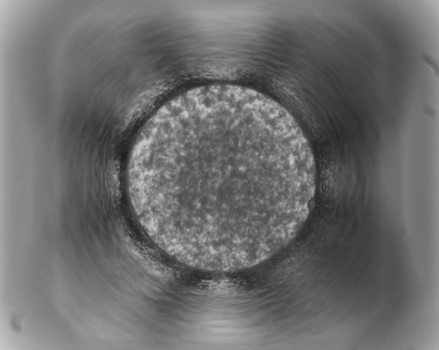 X0000102390688200808291424