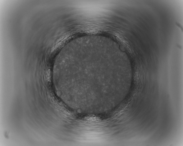 X0000102390689200808291424