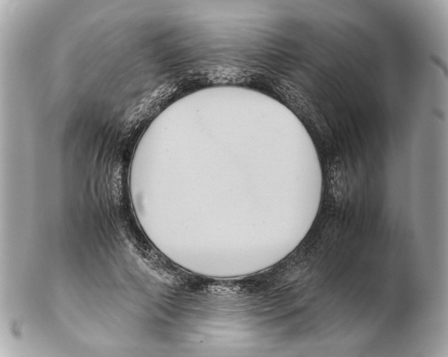 X0000102390690200808291424