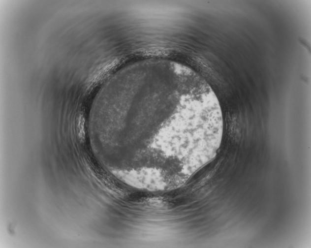X0000102390692200808291424