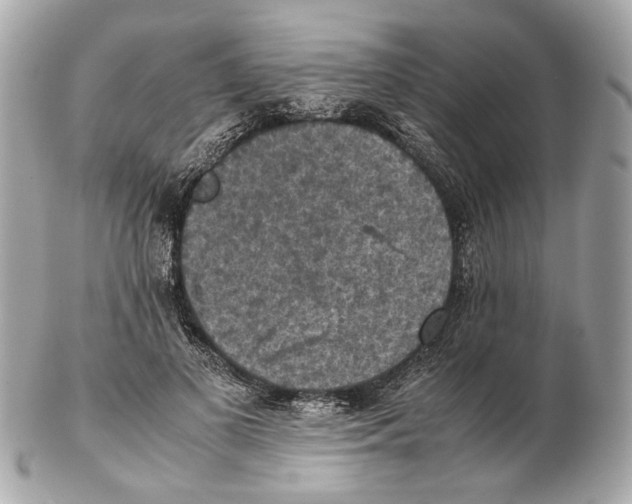 X0000102390693200808291424