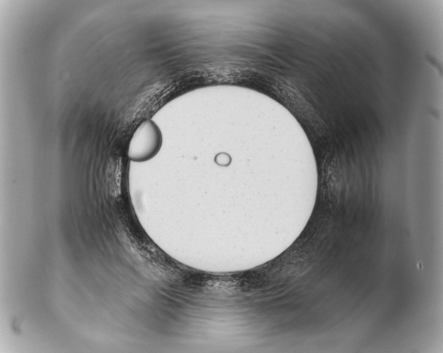 X0000102390694200808291424