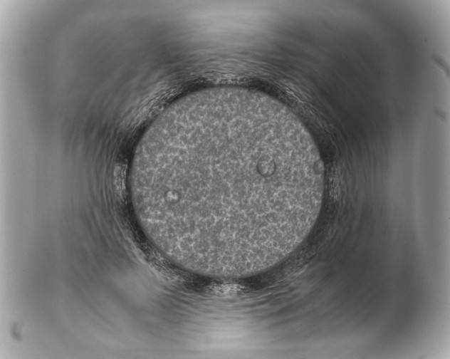 X0000102390695200808291423