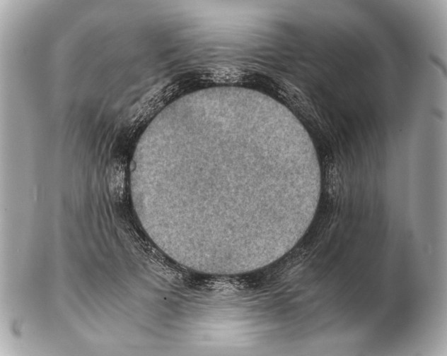 X0000102390697200808291423