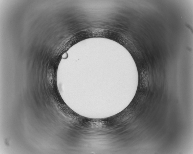 X0000102390698200808291423