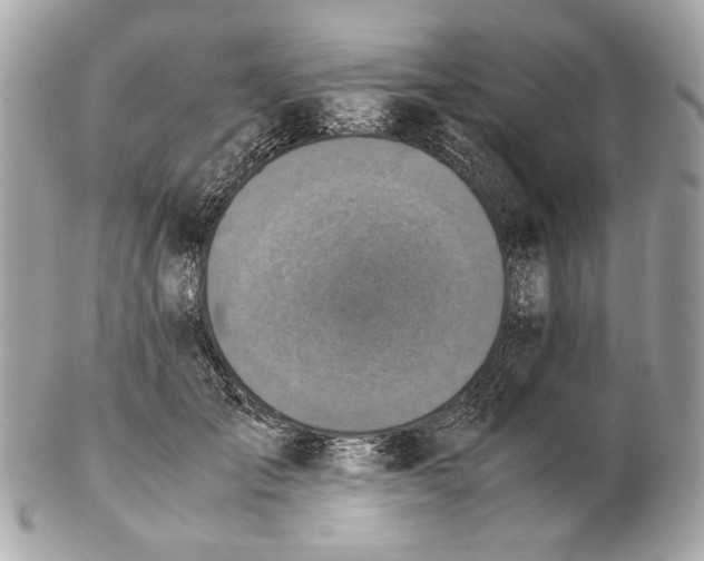 X0000102390701200808291423