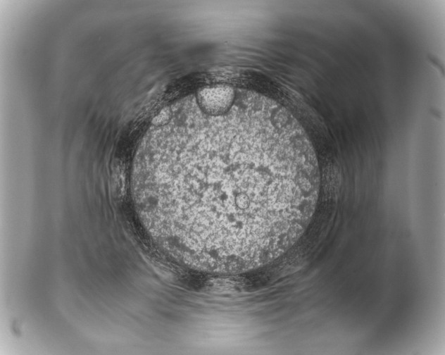 X0000102390703200808291423
