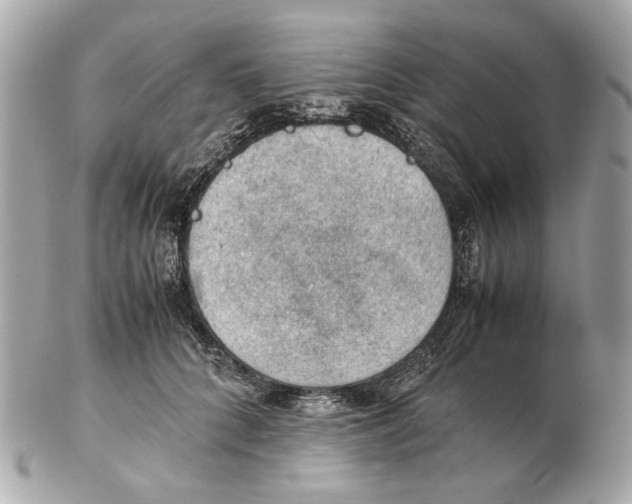 X0000102390704200808291423