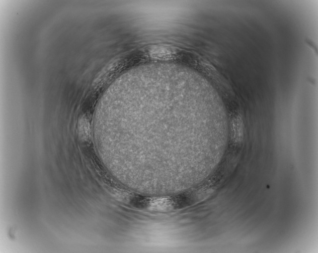 X0000102390705200808291423