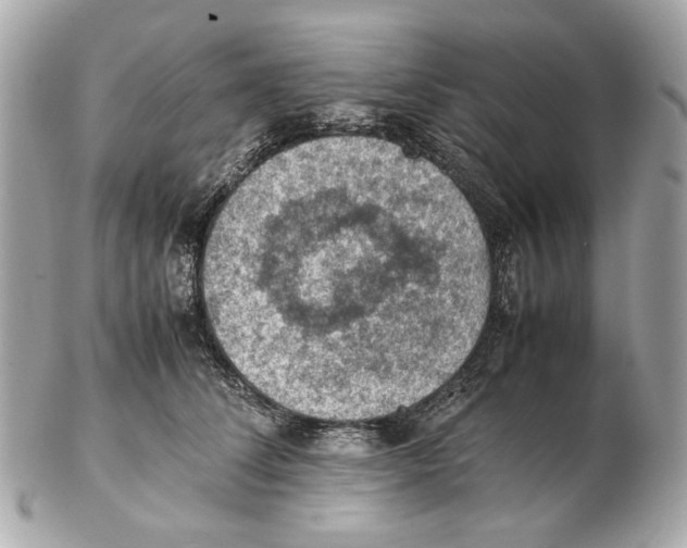 X0000102390708200808291423