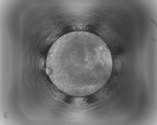 X0000102390709200808291423